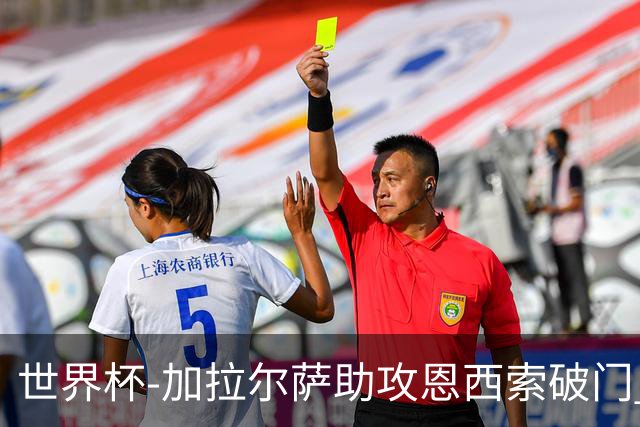 世界杯-加拉尔萨助攻恩西索破门 德国半场暂0-1巴拉圭