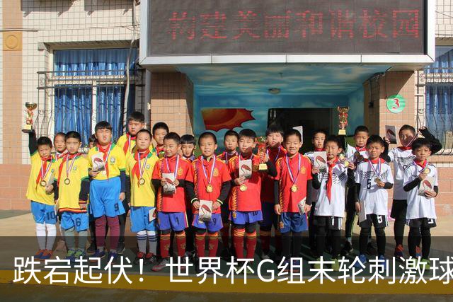 跌宕起伏！世界杯G组末轮刺激球迷心脏 伊朗狂喜过后遭打击